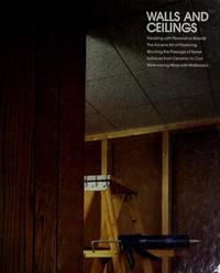 image of Walls and Ceilings (Home Repair and Improvement)
