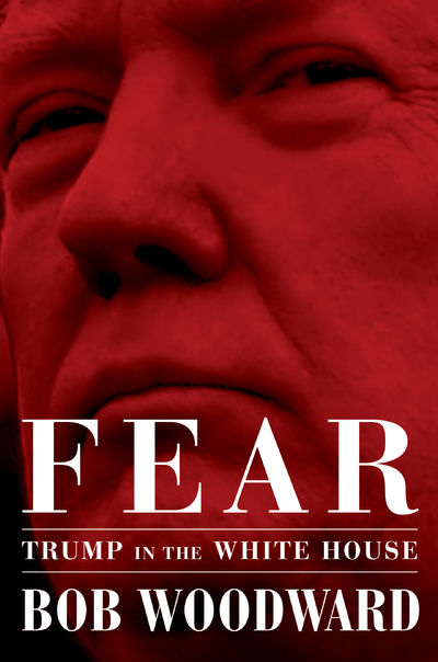 Fear; Trump in the White House