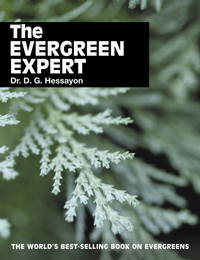 The Evergreen Expert