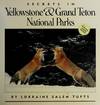 Secrets in Yellowstone and Grand Teton National Parks