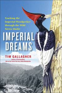 Imperial Dreams: Tracking the Imperial Woodpecker Through the Wild Sierra Madre