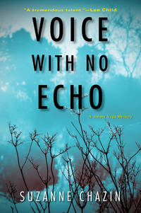 Voice with No Echo (A Jimmy Vega Mystery)