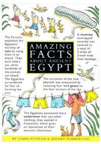 Amazing Facts About Ancient Egypt (Beginner's Guides)