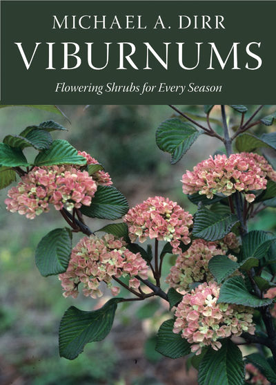 Viburnums Flowering Shrubs for Every Season