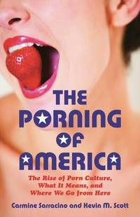 The Porning Of America