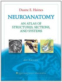 Neuroanatomy