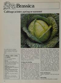 Basic Vegetable Gardening