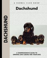 Dachshund