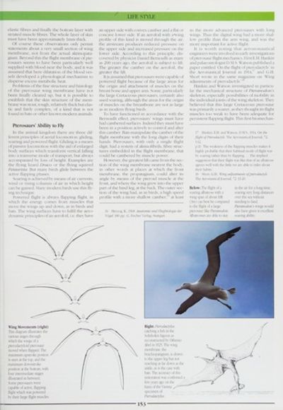The Illustrated Encyclopedia of Prehistoric Flying Reptiles by