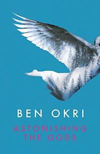 Astonishing the Gods by Okri, Ben