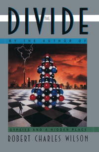 image of The Divide