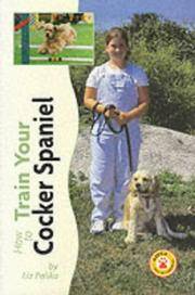 image of Cocker Spaniel (How to Train)