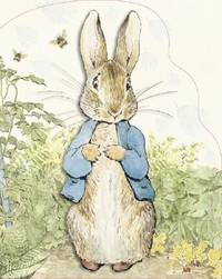 Peter Rabbit (ISBN: 9780723258551)