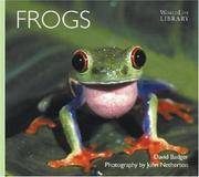 image of Frogs