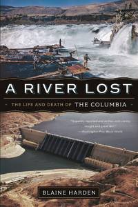 A River Lost