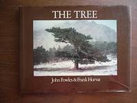 image of The Tree