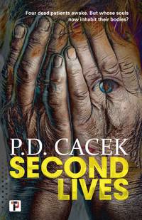 Second Lives (Fiction Without Frontiers)