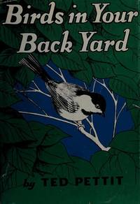 Birds In Your Backyard