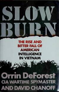 image of Slow Burn: The Rise and Bitter Fall of American Intelligence in Vietnam