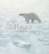 Ice Bear: In the Steps of the Polar Bear by Nicola Davies