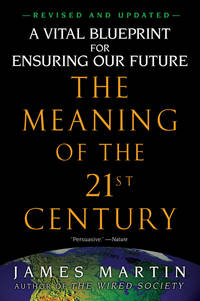 The Meaning of the 21st Century: A Vital Blueprint for Ensuring Our Future