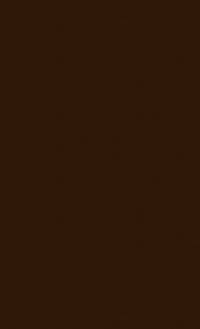 Boss Tweed's New York (New Dimensions in History: Historical Cities)