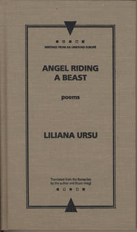 Angel Riding a Beast (Writings From An Unbound Europe)