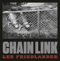 Lee Friedlander (ISBN: 9783958292598)