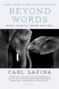 Beyond Words What Animals Think and Feel by Safina, Carl - 2015