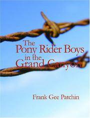 image of The Pony Rider Boys in the Grand Canyon: The Mystery of Bright Angel Gulch