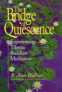 The Bridge of Quiescence: Experiencing Tibetan Buddhist Meditation by Wallace, B. Alan - 1999-02-01