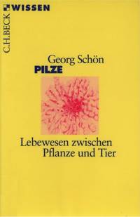 Pilze