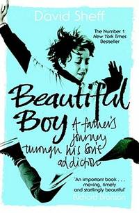 Beautiful Boy (ISBN: 9781847391612)