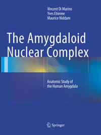 The Amygdaloid Nuclear Complex: Anatomic Study of the Human Amygdala