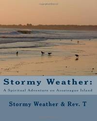 Stormy Weather: : A Spiritual Adventure on Assateague Island