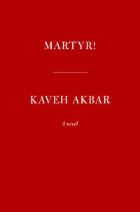 Martyr!: A novel