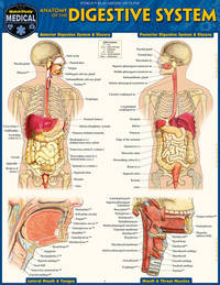 Anatomy of the Digestive System: Quickstudy Laminated Reference Guide (Quick Study Academic)