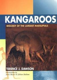 Kangaroos: Biology of the Largest Marsupials (Comstock/Cornell Paperbacks)