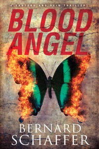 Blood Angel (A Santero and Rein Thriller)