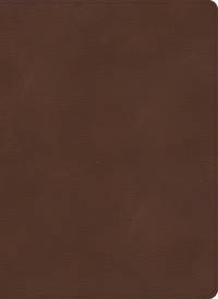 cover of Holy Bible: KJV Single-column Wide-margin Bible, Brown Leathertouch