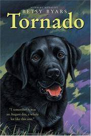 TORNADO A NOVEL