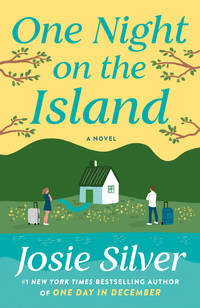 One Night on the Island : A Novel