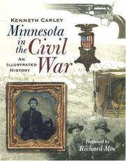 image of Minnesota in the Civil War: An Illustrated History