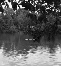 ELEGY: PHOTOGRAPHS BY DAWOUD BEY