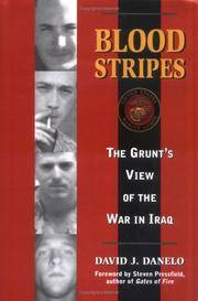 cover of Blood Stripes: The Grunt's View of the War in Iraq