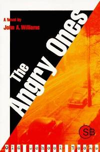 image of The Angry Ones: A Novel