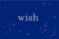 Wish â A beautiful all-occasion reminder to welcome the extraordinary every day