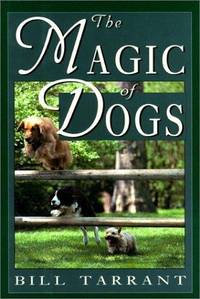 The Magic Of Dogs