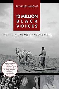 image of 12 Million Black Voices