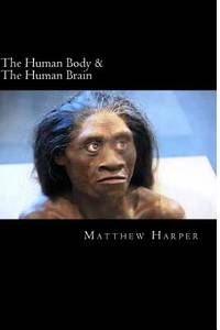 The Human Body & The Human Brain: A Fascinating Book Containing Human Body & Brain Facts, Trivia,...